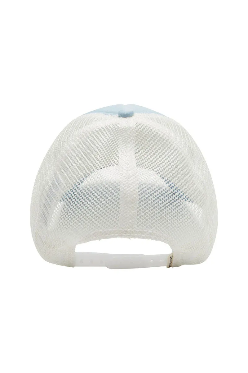 Across Waves Trucker