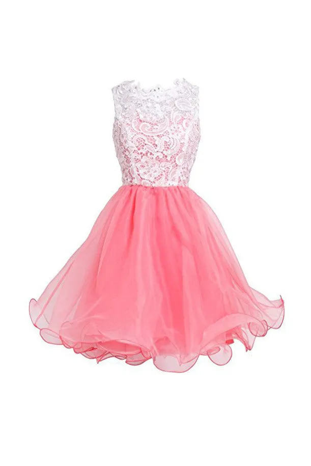 High Quality Organza Short Homecoming Dresses, Short Party Prom Dresses, SH63