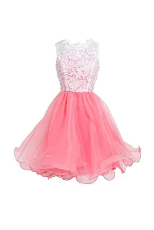 High Quality Organza Short Homecoming Dresses, Short Party Prom Dresses, SH63