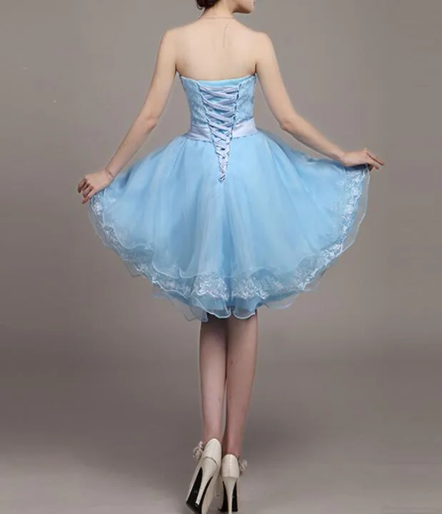 Light Blue Lace and Organza High Low Dresses, High Low Party Dresses, Cute Teen Dresses