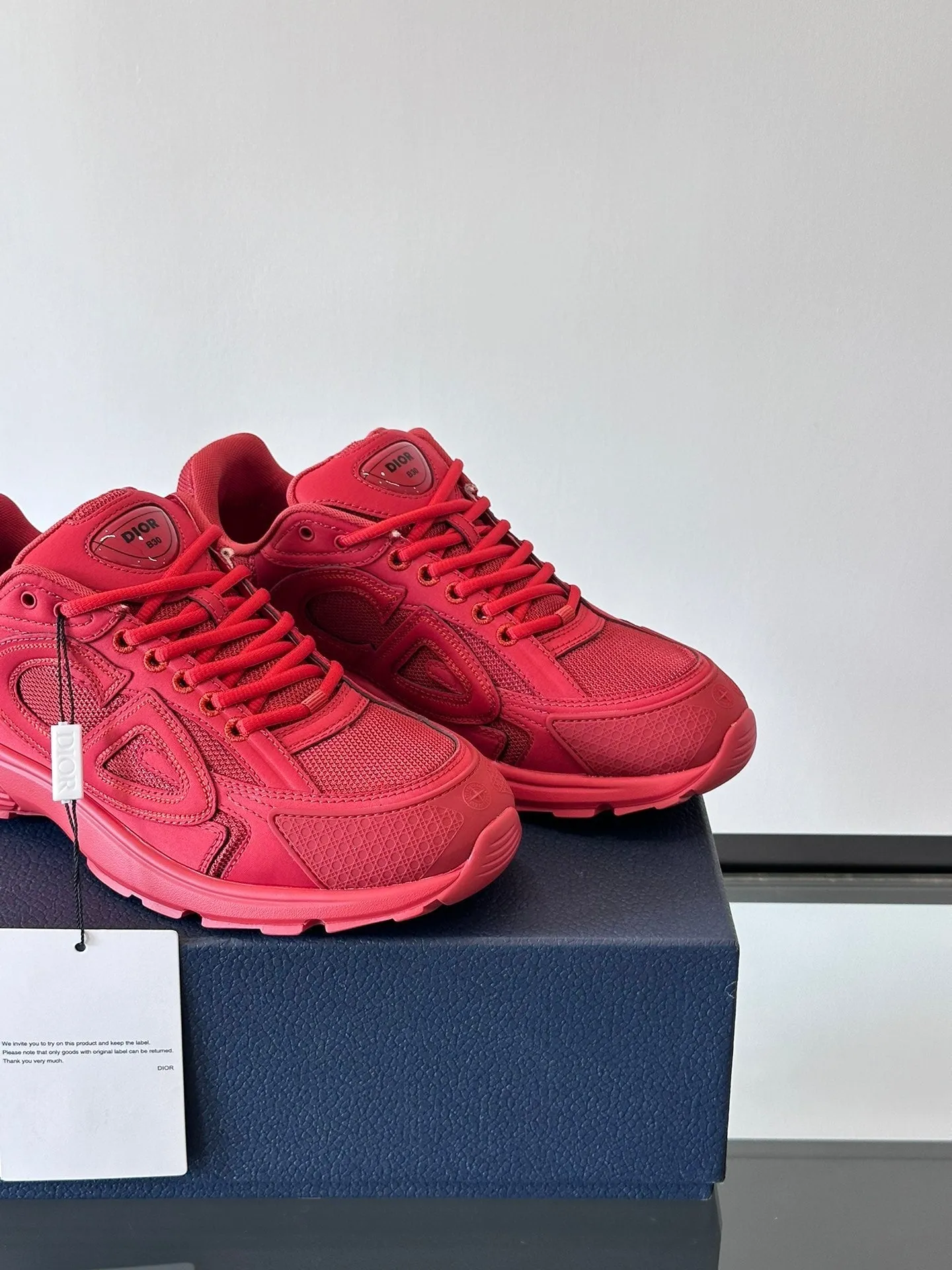 STONE ISLAND x DIOR B30 RED